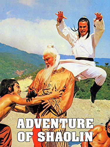 Adventure of Shaolin