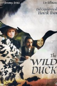 The Wild Duck