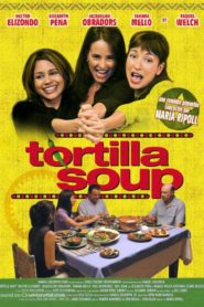 Tortilla Soup