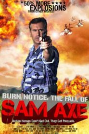 Burn Notice: The Fall of Sam Axe