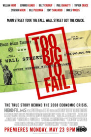 Too Big to Fail