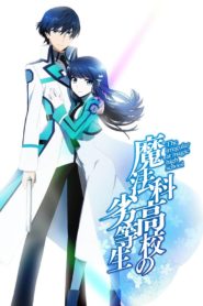 The Irregular at Magic High School