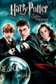 Harry Potter ve Zümrüdüanka Yoldaşlığı