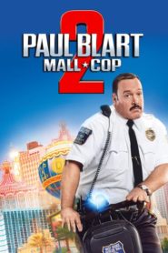 Paul Blart: AVM Polisi 2