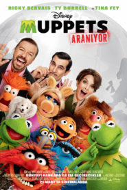 Muppets Aranıyor