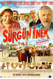 Sürgün İnek