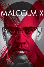 Malcolm X