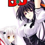 High School DxD