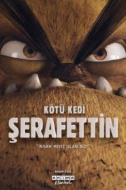 Kötü Kedi Şerafettin