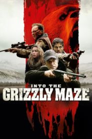 Into the Grizzly Maze