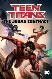 Teen Titans: The Judas Contract