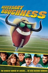 Necessary Roughness