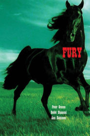 Fury: Siyah İnci