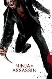 Ninja’nın İntikamı