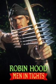 Robin Hood: Salaklar Prensi
