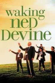 Ned Devine’i diriltmek