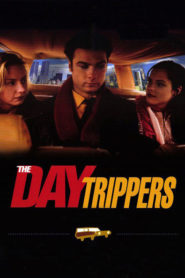 The Daytrippers