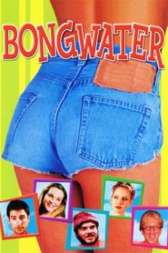 Bongwater