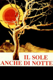 Il sole anche di notte