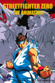 Street Fighter Zero