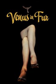 La Vénus à la fourrure