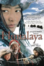 Himalaya – l’enfance d’un chef