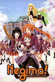 Negima!