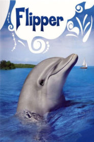 Flipper