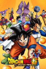 Dragon Ball Super (Cho)