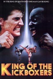 The King of the Kickboxers