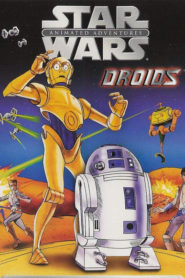 Star Wars: Droids