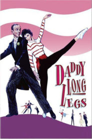 Daddy Long Legs