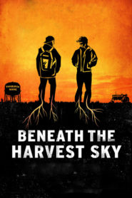 Beneath the Harvest Sky