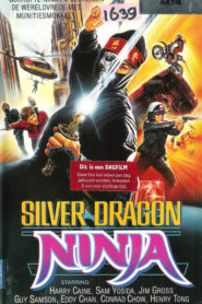 Silver Dragon Ninja