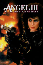 Angel III: The Final Chapter