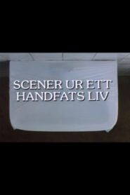Scener ur ett handfats liv