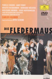 Die Fledermaus