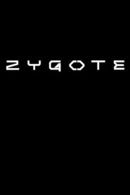 Zygote