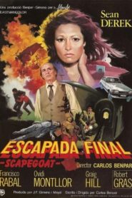 Escapada final (Scapegoat)