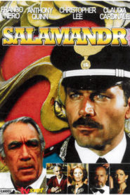 The Salamander