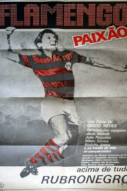 Flamengo Paixão