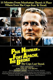 Fort Apache, the Bronx