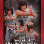 Secret Of Shaolin Kung Fu