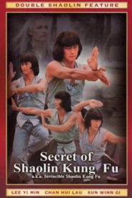 Secret Of Shaolin Kung Fu