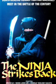 The Ninja Strikes Back