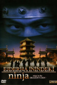 Ejderha İnindeki Ninja