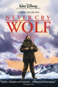 Never Cry Wolf