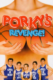 Porky’s Revenge