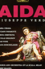 Aida Pavarotti