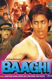 Baaghi: A Rebel for Love